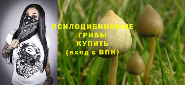 MDMA Premium VHQ Магадан